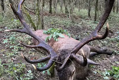 384098225 1078947900071361 5596658652836078006 N