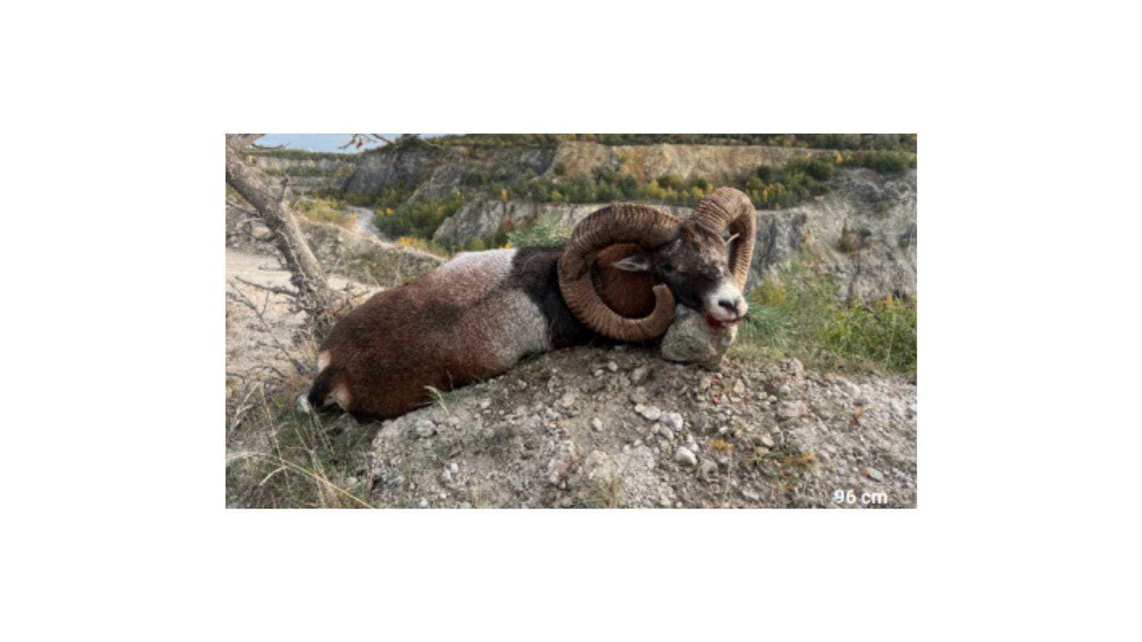 Kopi Af Hjemmeside Og PDF Format 169 (23)