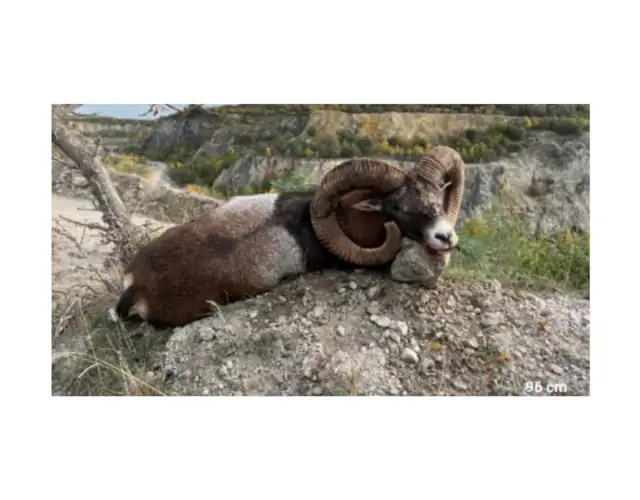 Kopi Af Hjemmeside Og PDF Format 169 (23)