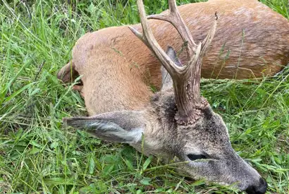 Whatsapp Image 2023 05 09 At 14.49.34