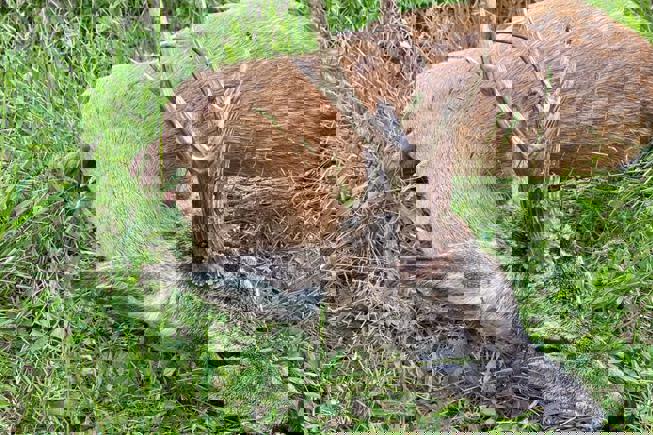 Whatsapp Image 2023 05 09 At 14.49.34