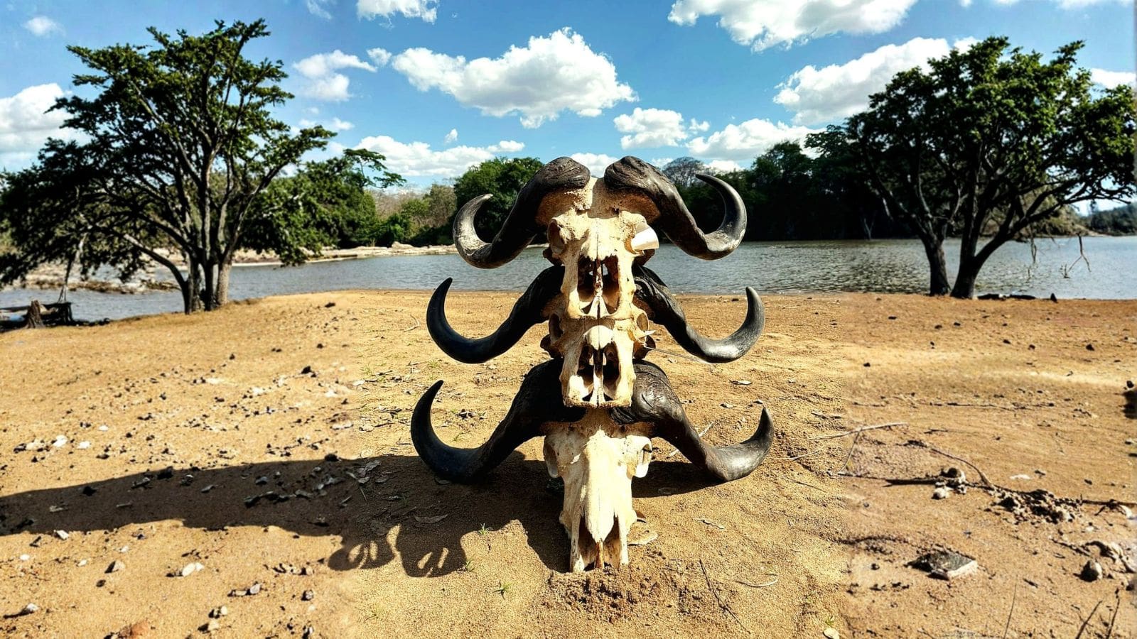 Kopi Af Hjemmeside Og PDF Format 169 (2) Min (1)