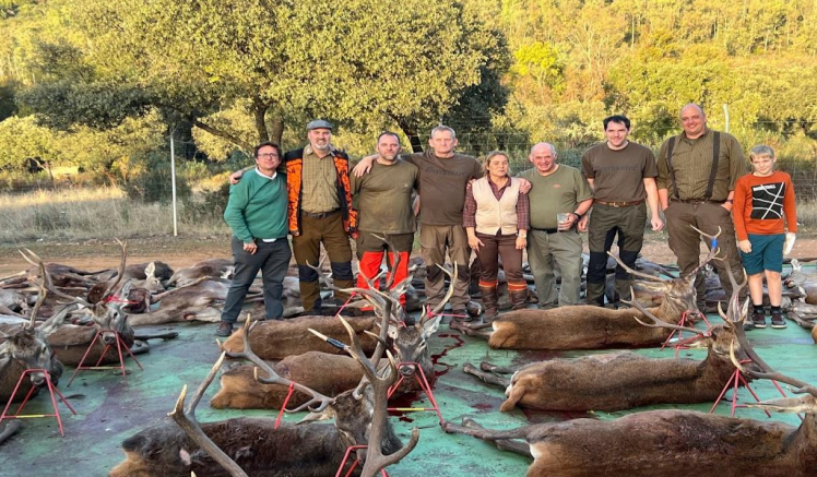 Skærmbillede 2024 12 06 130142