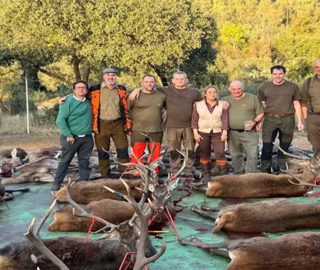 Skærmbillede 2024 12 06 130142