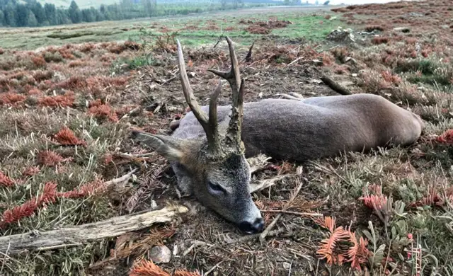 Skærmbillede 2022 07 19 Kl. 08.53.23