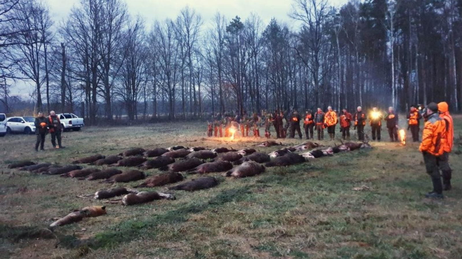 Kopi Af Hjemmeside Og PDF Format 169 (17) (1)