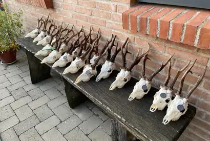 281309124 541193467415073 1382203196870351873 N