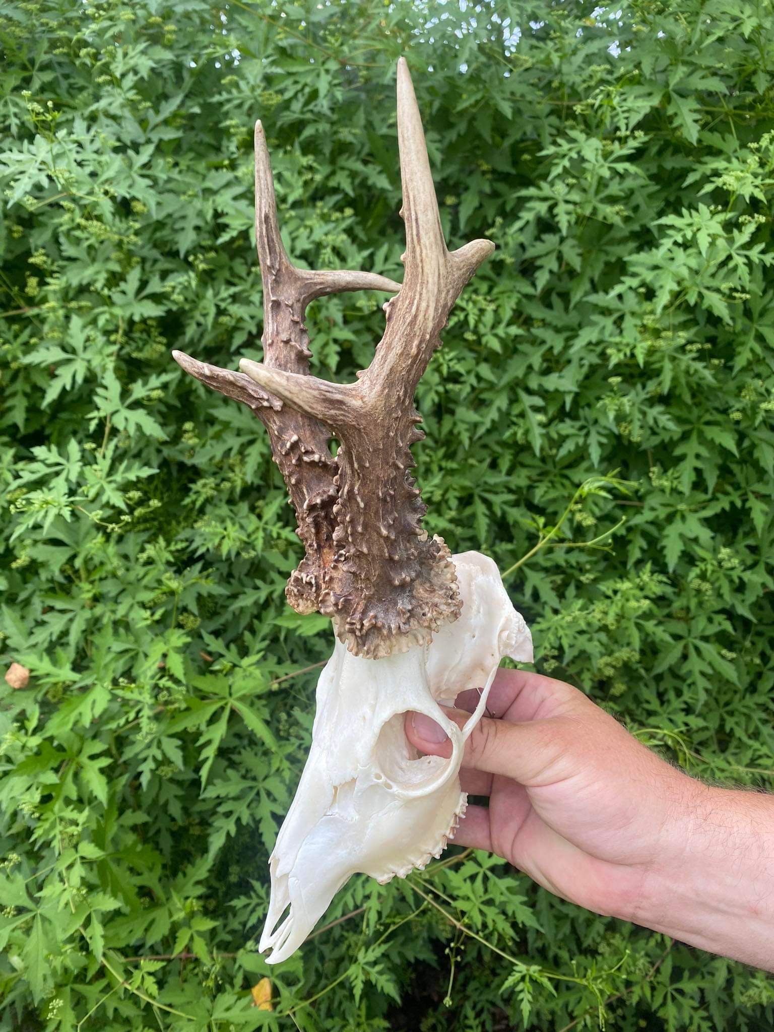 347557630 1019621712670647 3300440306045232695 N