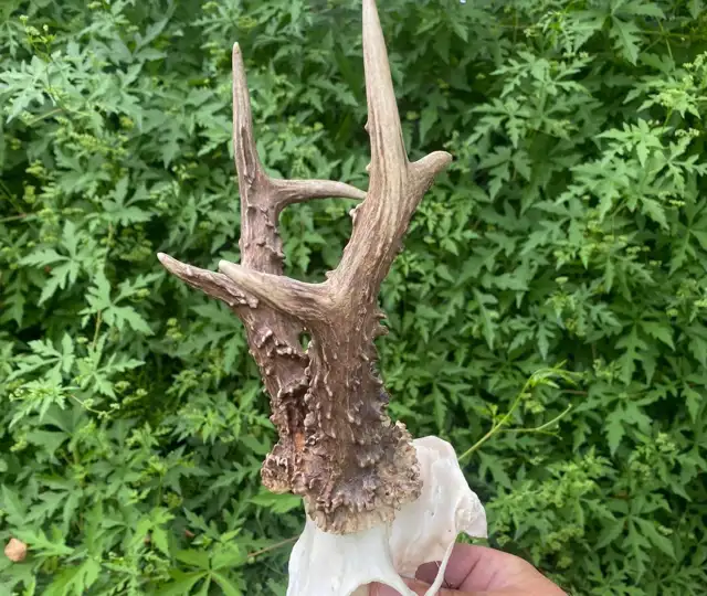 347557630 1019621712670647 3300440306045232695 N