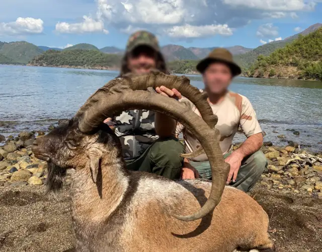 Skærmbillede 2023 12 04 162558