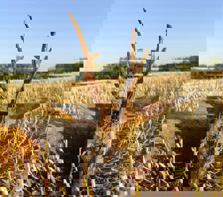 Whatsapp Image 2025 08 04 At 09.44.22