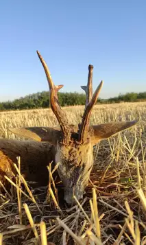 Whatsapp Image 2025 08 04 At 09.44.22