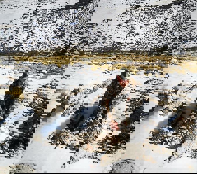 87483711 1827128797421257 5007893878150266880 N3