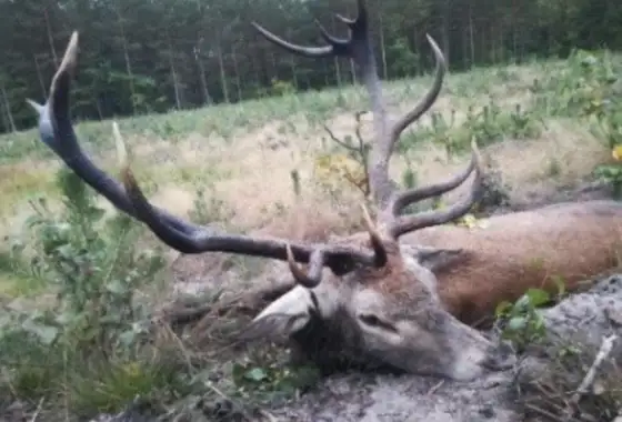 Skærmbillede 2022 07 19 Kl. 08.47.37