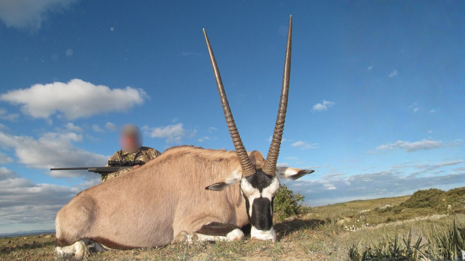 Kopi Af Hjemmeside Og PDF Format 169 2025 11 14T094145.735