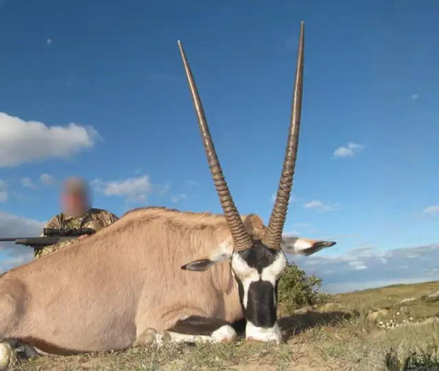 Kopi Af Hjemmeside Og PDF Format 169 2025 11 14T094145.735