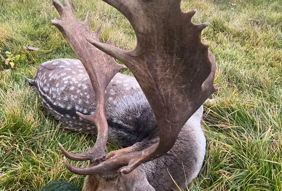 PHOTO 2023 06 27 13 03 27