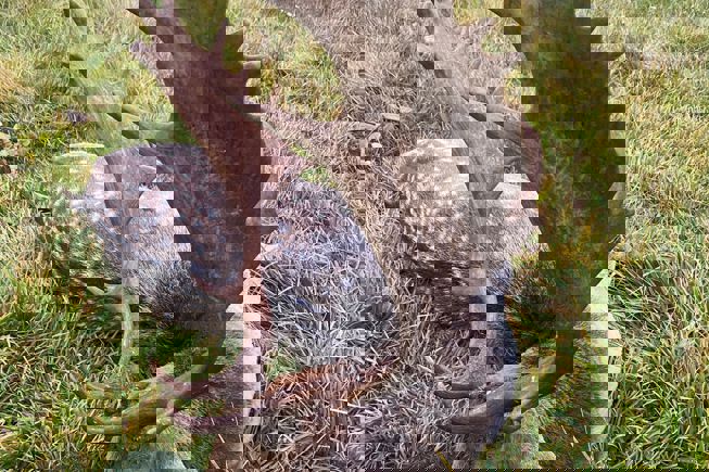 PHOTO 2023 06 27 13 03 27