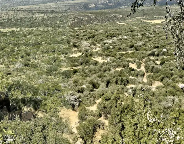 Design Uden Navn (5) Min